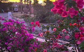 Villa Alfredo Marchetti Nº13 A Suites On The Beach, Praia De Chaves, Boa Vista
